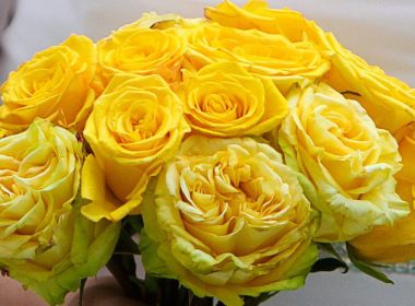 Wedding Photography of Yellow Flowers